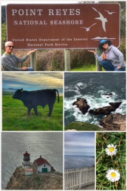 Point Reyes National Seashore