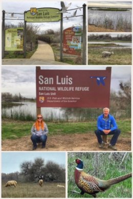 San Luis National Wildlife Refuge