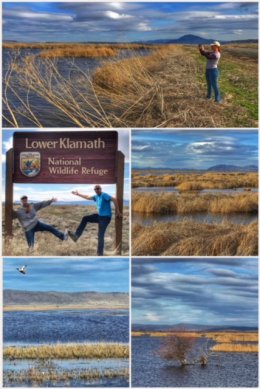 Lower Klamath National Wildlife Refuge