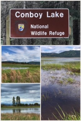 Conboy Lake NWR