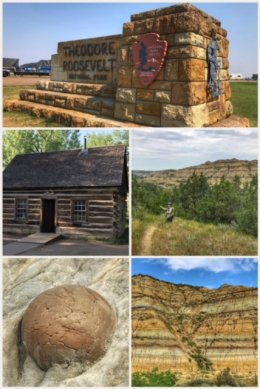 Theodore Roosevelt National Park pictures