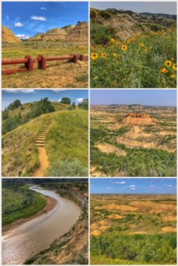 Theodore Roosevelt National Park collage