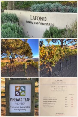 LaFond Vineyard Winery