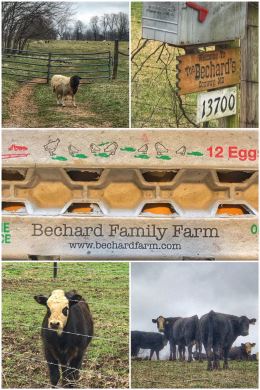 Bechard Family Farm