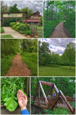 Arbor Day Farm Tree Adventure