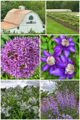 Arbor Day Farm