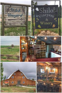 Shiloh Vineyard & Winery