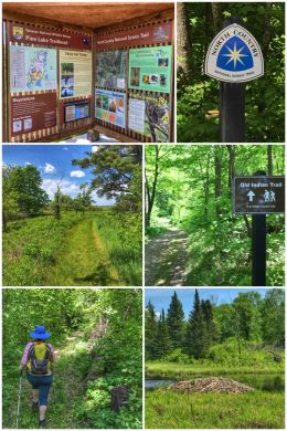 Tamarac NWR trails