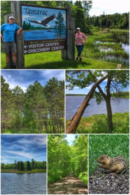 Tamarac National Wildlife Refuge