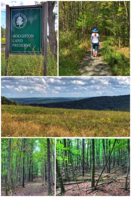 Houghton Land Preserve