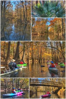 Congaree National Park, kayaking