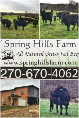 Spring Hills Farm